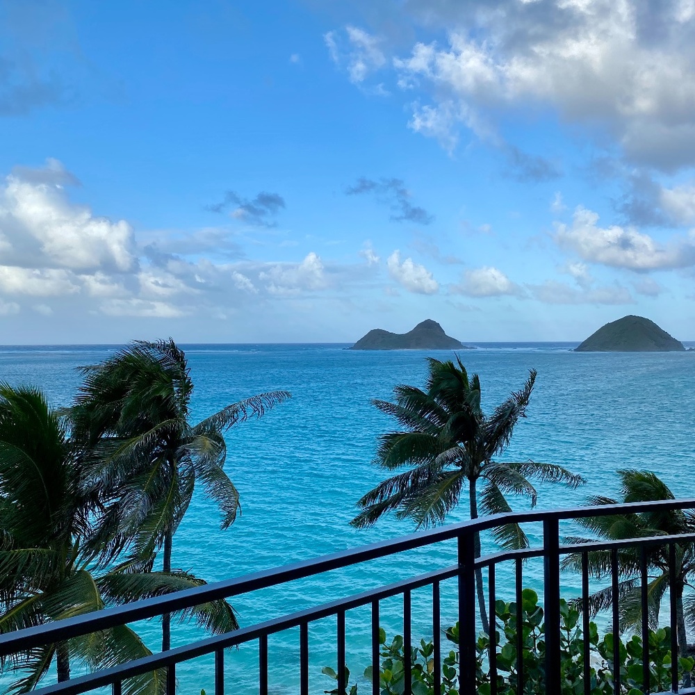 Meet your Posher, Bibi